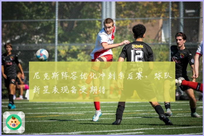 尼克斯阵容优化冲刺季后赛，球队新星表现备受期待